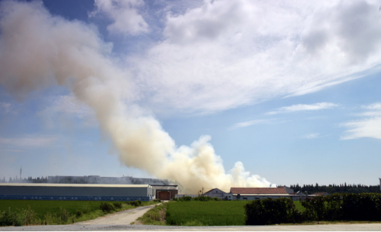 數(shù)智化服務(wù)丨大氣模型：創(chuàng)新驅(qū)動(dòng)，守護(hù)環(huán)境安全