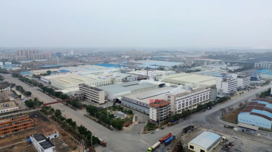 “鋰”動未來：國際新能源龍頭企業(yè)碳酸鋰項目驗收，引領產(chǎn)業(yè)升級